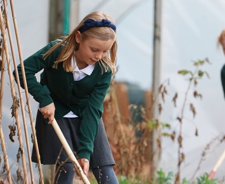 Hawkedon pupils doing gardening